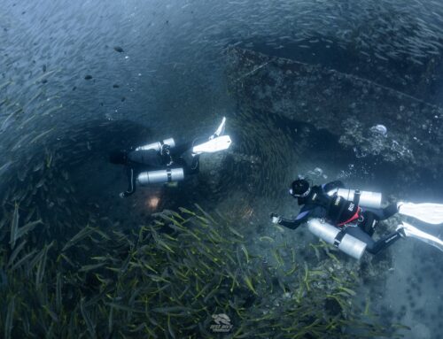 หลักสูตร Nitrox (Enriched Air) Diver