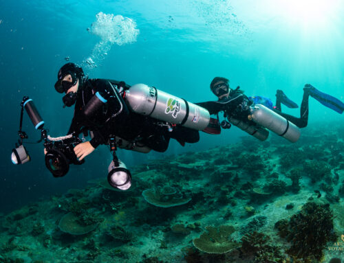 หลักสูตร XR Sidemount